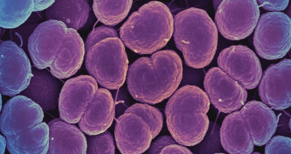 STD cases have increased in the past few years based on data from CDC