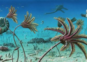 The First Animals on Earth Formed Complex Ecological Communities