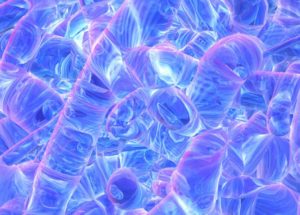 Gut Bacteria Can Produce Electricity, According To New Research