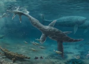 Fossilized Teeth Revealed More About The Jurassic Marine Reptiles