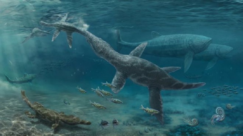 Fossilized Teeth Revealed More About The Jurassic Marine Reptiles