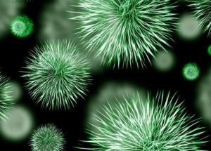 New Compound To Fight Antibiotic-Resistant Bacteria Found By Researchers