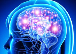 Obesity Might Cause Brain Damage, Recent Studies Revealed