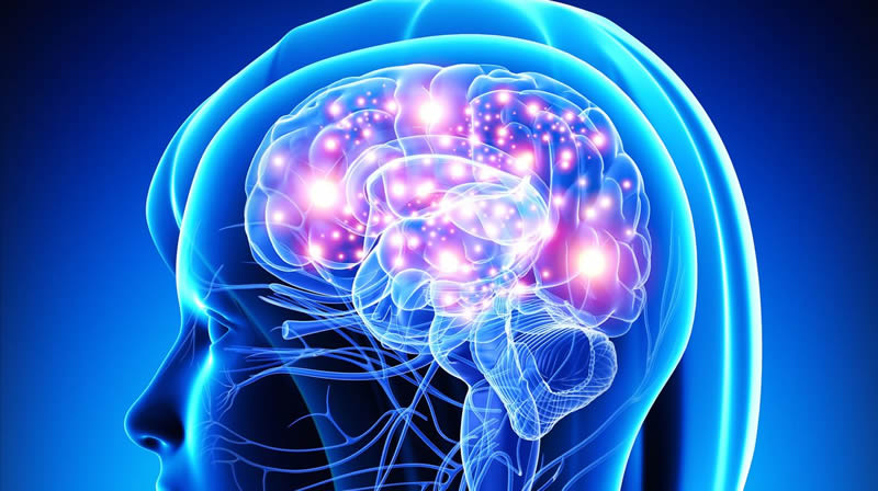 7 Tasty Ways to Supercharge Your Brain