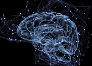 Physical Exercises Help the Brain Produce New Neurons