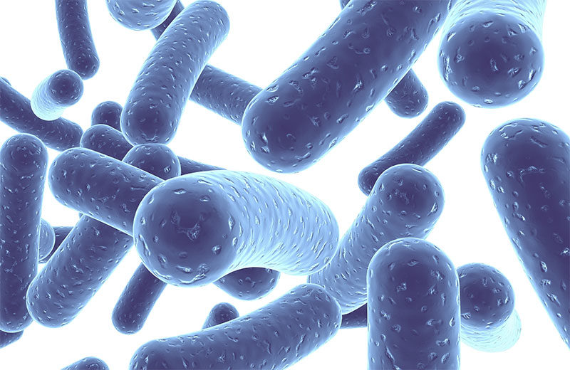 Probiotics Might Not Be As Beneficial As Initially Thought