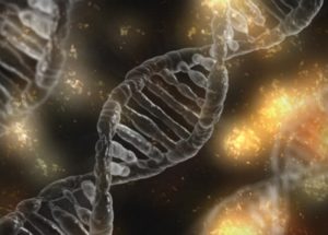 Scientists Consider They Found The Spark That Created Life, The “Structural Capacitance Elements”