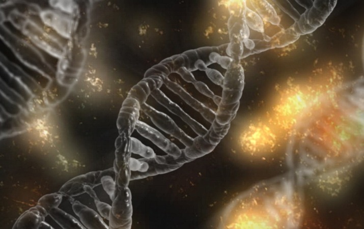 Scientists Consider They Found The Spark That Created Life, The “Structural Capacitance Elements”