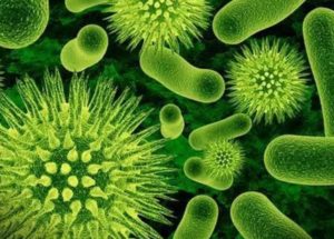 Deadly Superbug Is Spreading Across Hospitals Worldwide, A New Study Reveals