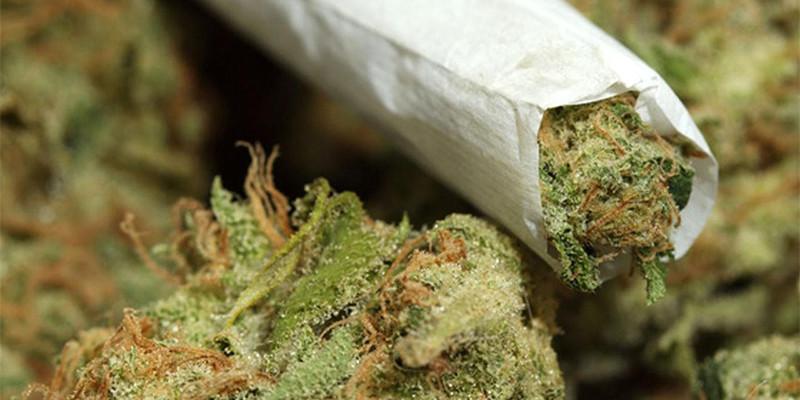 US Hospitals-Based Study Linked Cannabis Consumption To Increased Heart Attack Risks