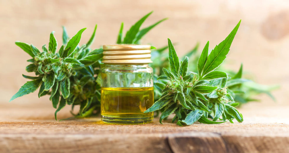 Cannabis Oil Might Be Beneficial In Crohn’s Disease, A New Study Reveals