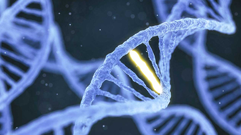Child Abuse Leaves Traces in Victims’ DNA, According to A New Study