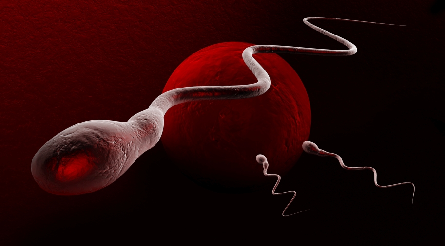Men With Small Penises Are More Exposed To Infertility, A New Study Reveals