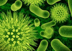 Antibiotic Acting Like A “Trojan Horse” Might Be Useful Against Superbugs, New Research Reveals