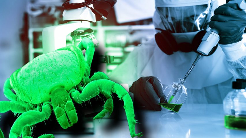 Insect-Borne Viruses To Help Plants and Animals, Run By DARPA, Deemed As Biowarfare By The World