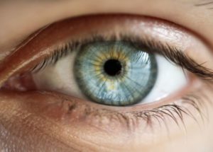 World Sight Day 2018: WHO Warns About The Importance Of Asymptomatic Pathologies That Affect The Visual Health