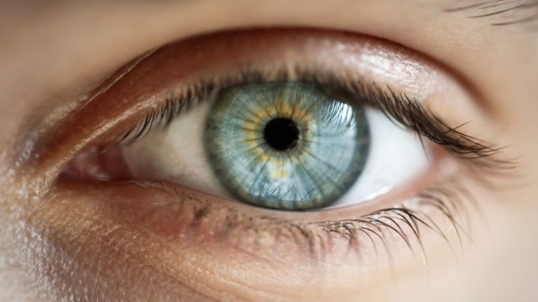 Healthy Eye Foods – Foods High In Vitamin A
