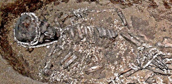 Early Humans Engaged often in Sexual Activities and Interbreeding