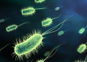 New Drug to Treat Gonorrhea Developed In The US