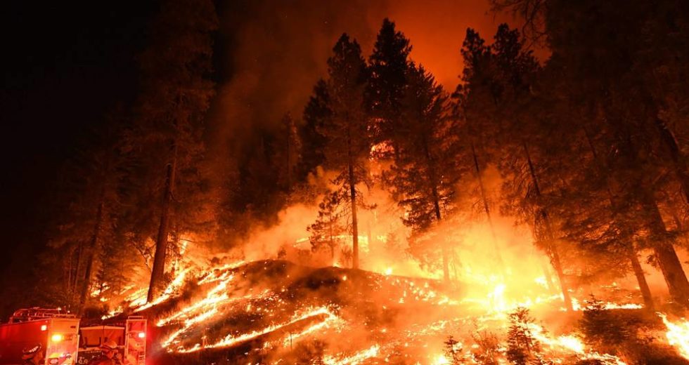 How Harmful Is Wildfire Smoke Compared to Car Exhaust: New Study Sheds Light