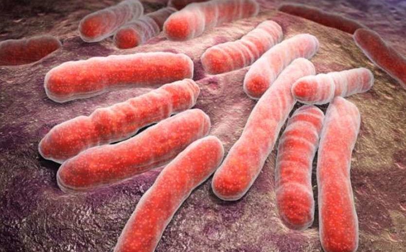 New Canadian Study Came Up With New, More Effective Drugs For Multidrug-Resistant Tuberculosis
