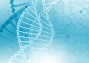 Chinese Scientists Created The First Genetically Modified Babies In The World