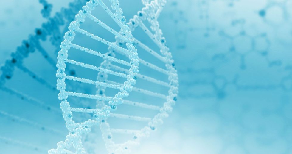 Chinese Scientists Created The First Genetically Modified Babies In The World