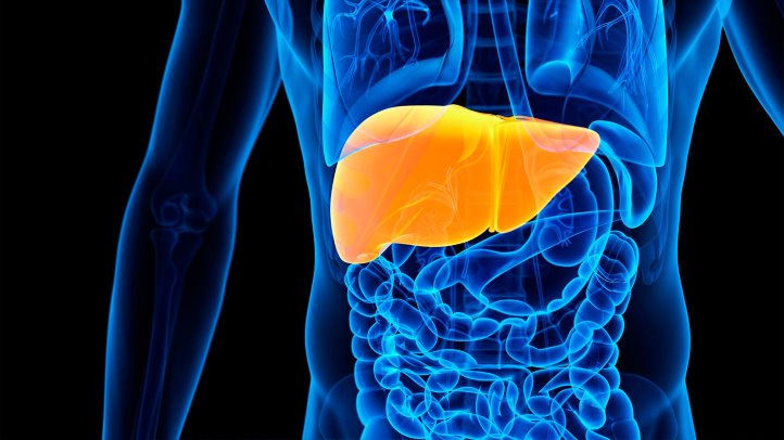 Cystic Fibrosis Patients Exposed to Higher Risks of Liver Cancer