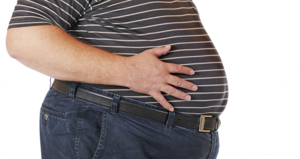 Genetic Information Might Be The Cause Of Obesity