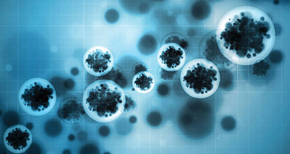 High Blood Sugar Levels Boosts The Risks of Tuberculosis, A New Study Revealed