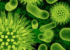 Multidrug-Resistant Bacteria Are Responsible For 33,000 Deaths Across Europe
