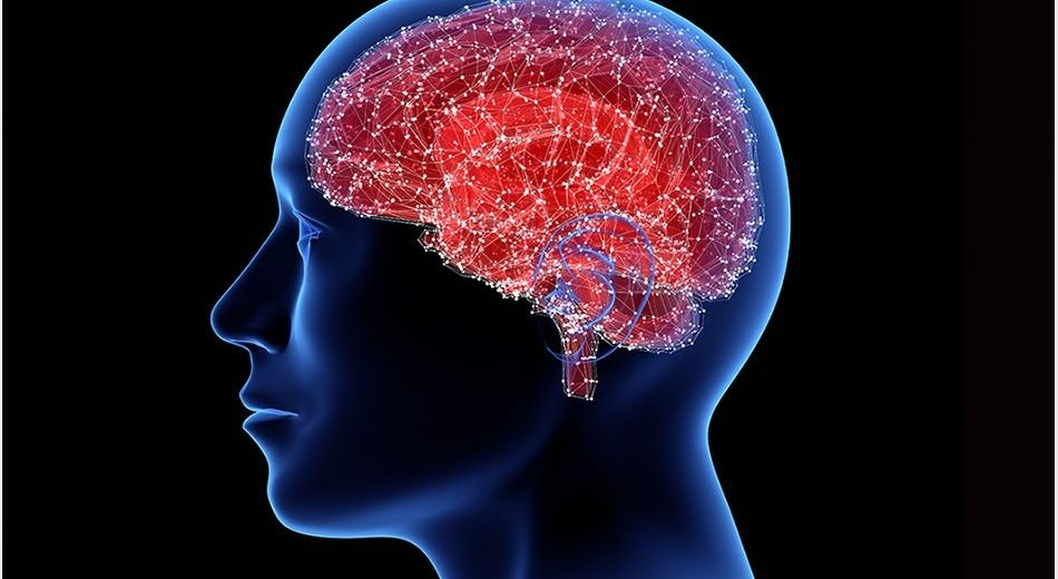 Japanese Doctors Conducted A Stem Cells Transplant Into The Brain of a Parkinson’s Disease Patient