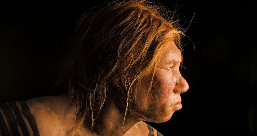 Interbreeding Between Humans and Neanderthals Was Quite Common Back in The Day