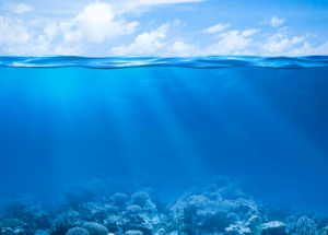 Recent Studies Show How to Gather Fresh Water from the Air