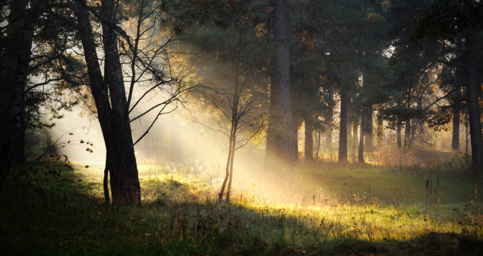 Vaping, the Reason of Anti-Smoking Progress in Teens Has Now Been Terminated