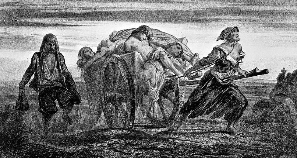 Ancient Strain Of Plague May Have Caused The Decline Of Neolithic Europeans