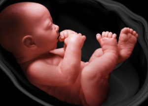Babies In The Womb Use Kicking For Mapping Their Body And Environment