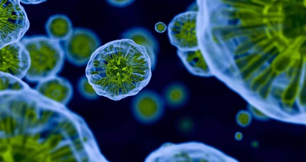 Cancer Breakthrough: Transplanting Disease-Fighting Immune Cells Could Save Millions Of Lives