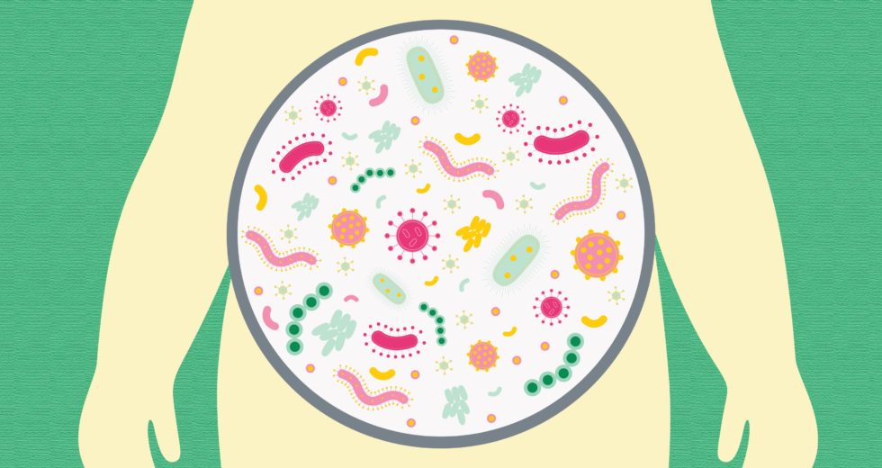 Gut Bacteria in Newborn Babies Has A Crucial Role In Fighting Diseases