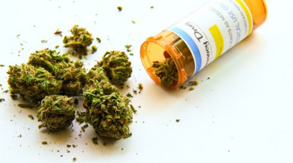 Medical Marijuana Could Effectively Substitute Opioids