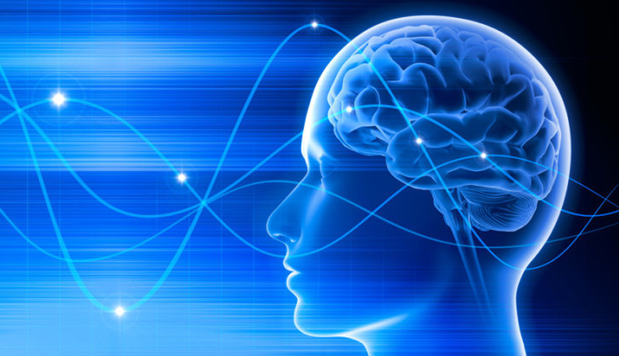 Slow Brainwaves Might Be A Sign Of Dementia, University of Toronto Scientists Think