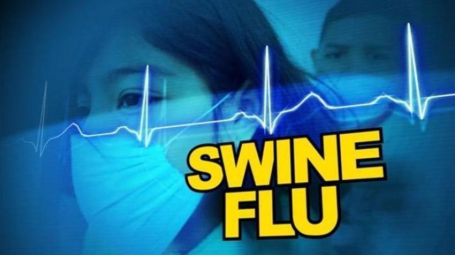 Swine Flu Killed A Man In The Bahamas