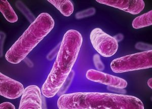 What Is Legionella Bacteria and Why Is It Dangerous?