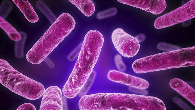 What Is Legionella Bacteria and Why Is It Dangerous?
