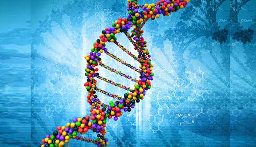 Osteoarthritis Treatments, Revealed During A Genetic Study