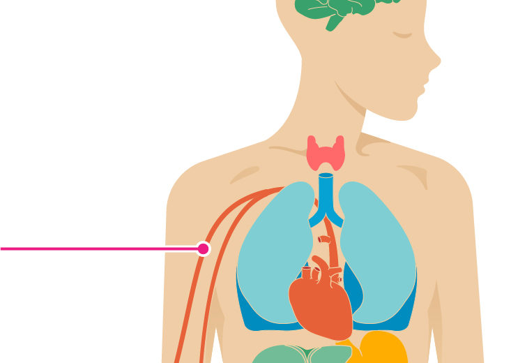 Poor Sleep Can Have an Impact on Your Heart