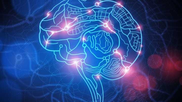 Scientists Might Have Identified The Brain Patterns of Human Consciousness
