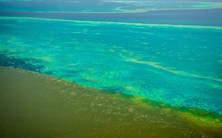 Floodwater Might Endanger The Great Barrier Reef