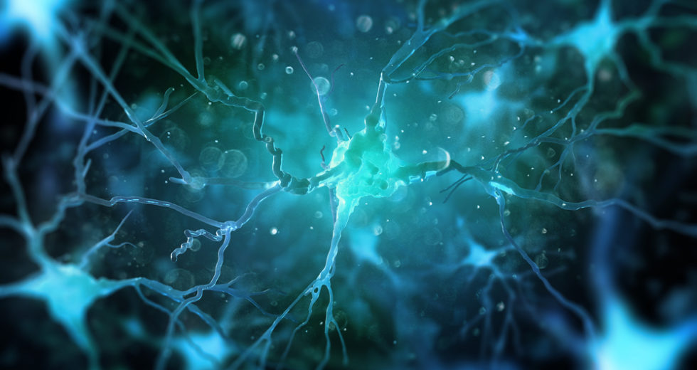 Improved MRI Technology Can Reveal Activity Deep In The Brain