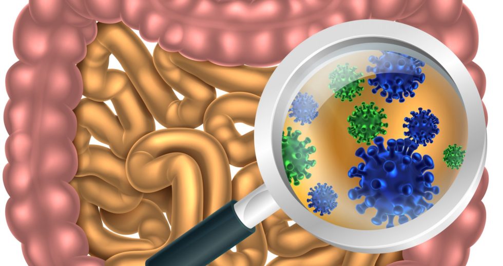 Toxin Released By Gut Bacteria Might Cause Bowel Cancer